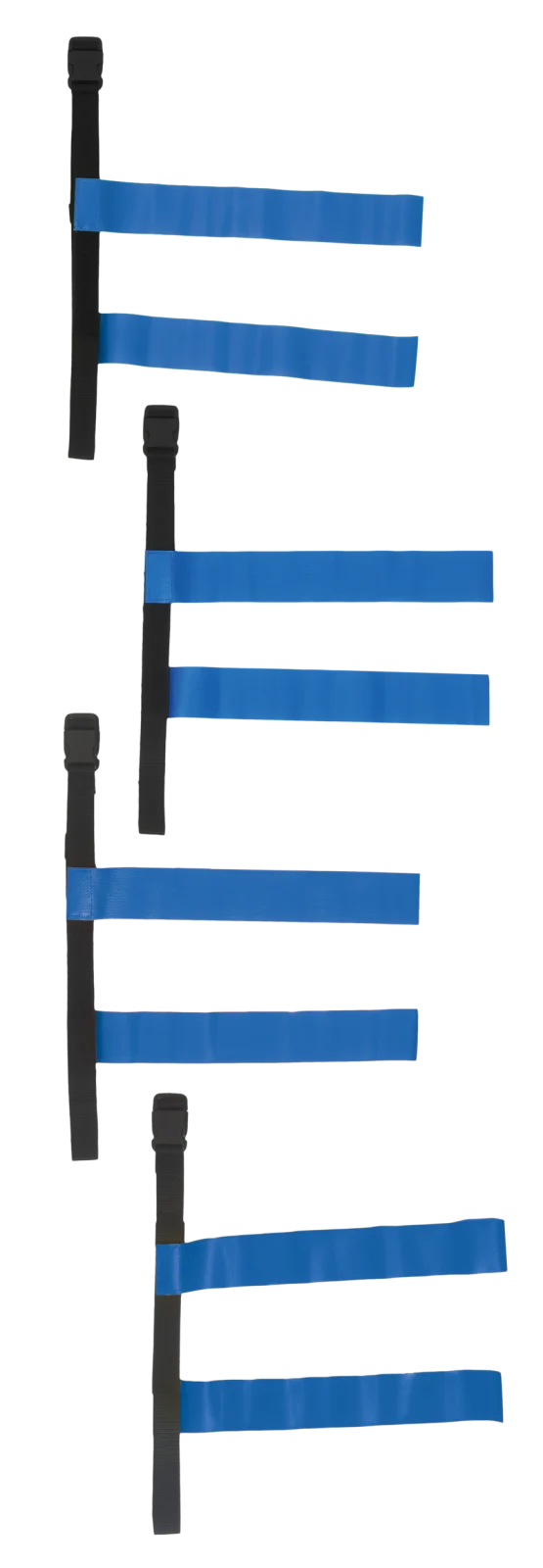 Tag belt PA666 — Black / Royal Blue