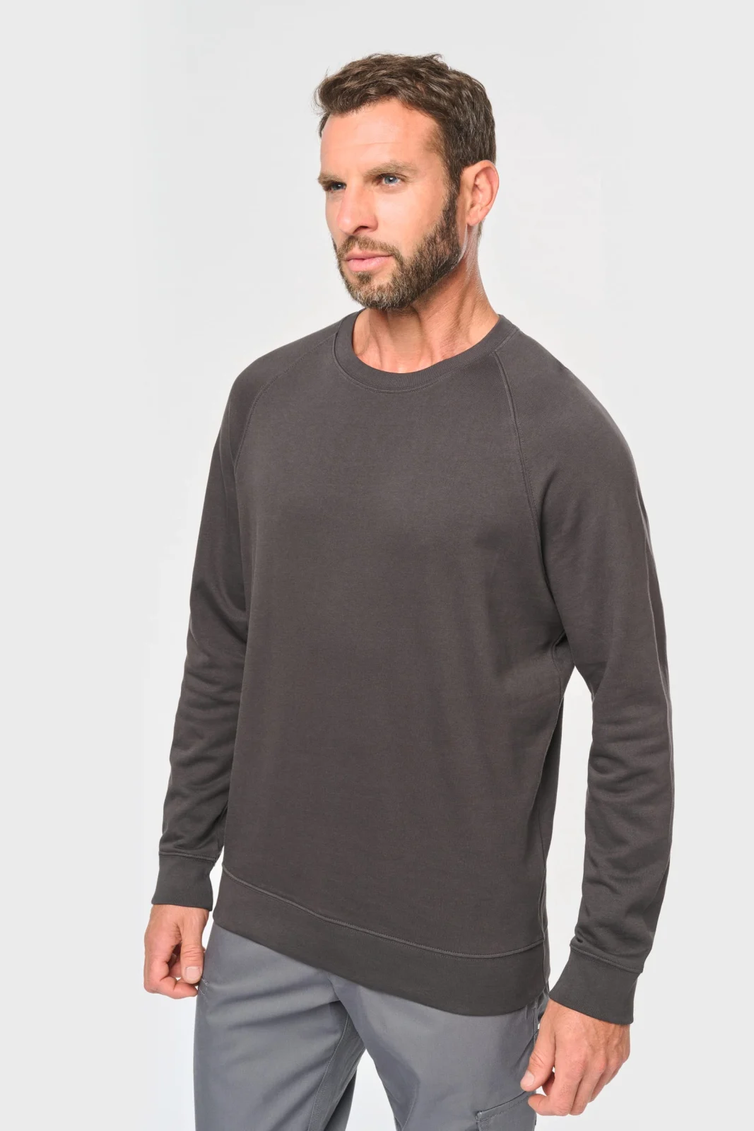 Sweat-shirt col rond homme WK402 — photo de présentation