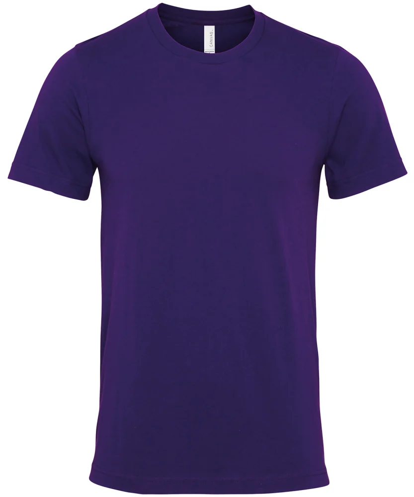 CV001 — Team Purple