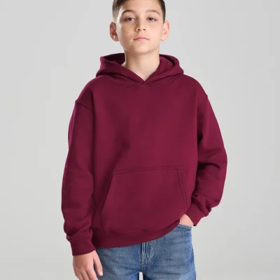 Sweat à capuche AWDis Just Hoods