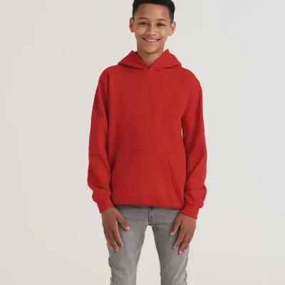 Sweat à capuche AWDis Just Hoods