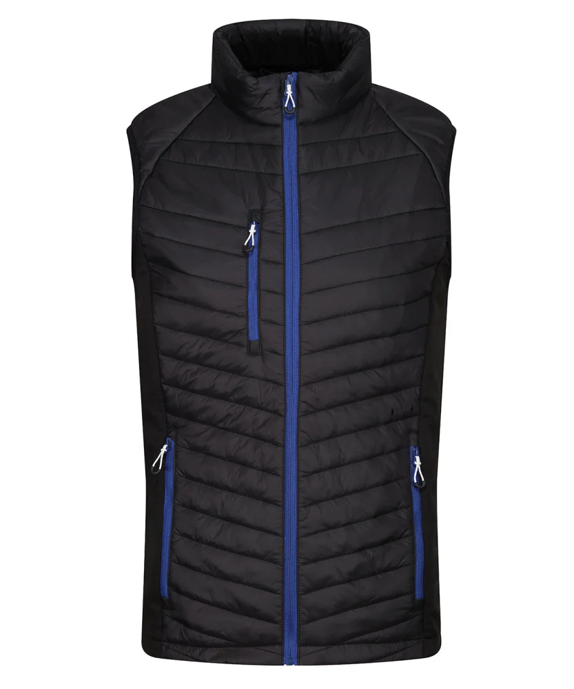 RG341 — Black/New Royal
