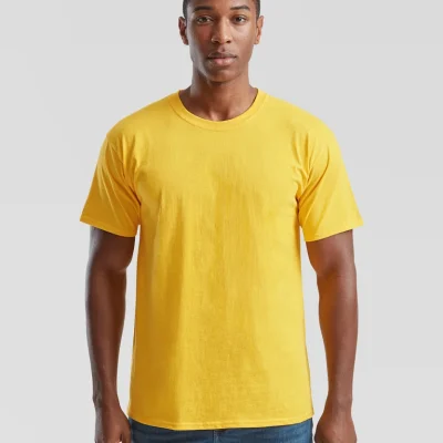 Tee-shirt Fruit of the Loom